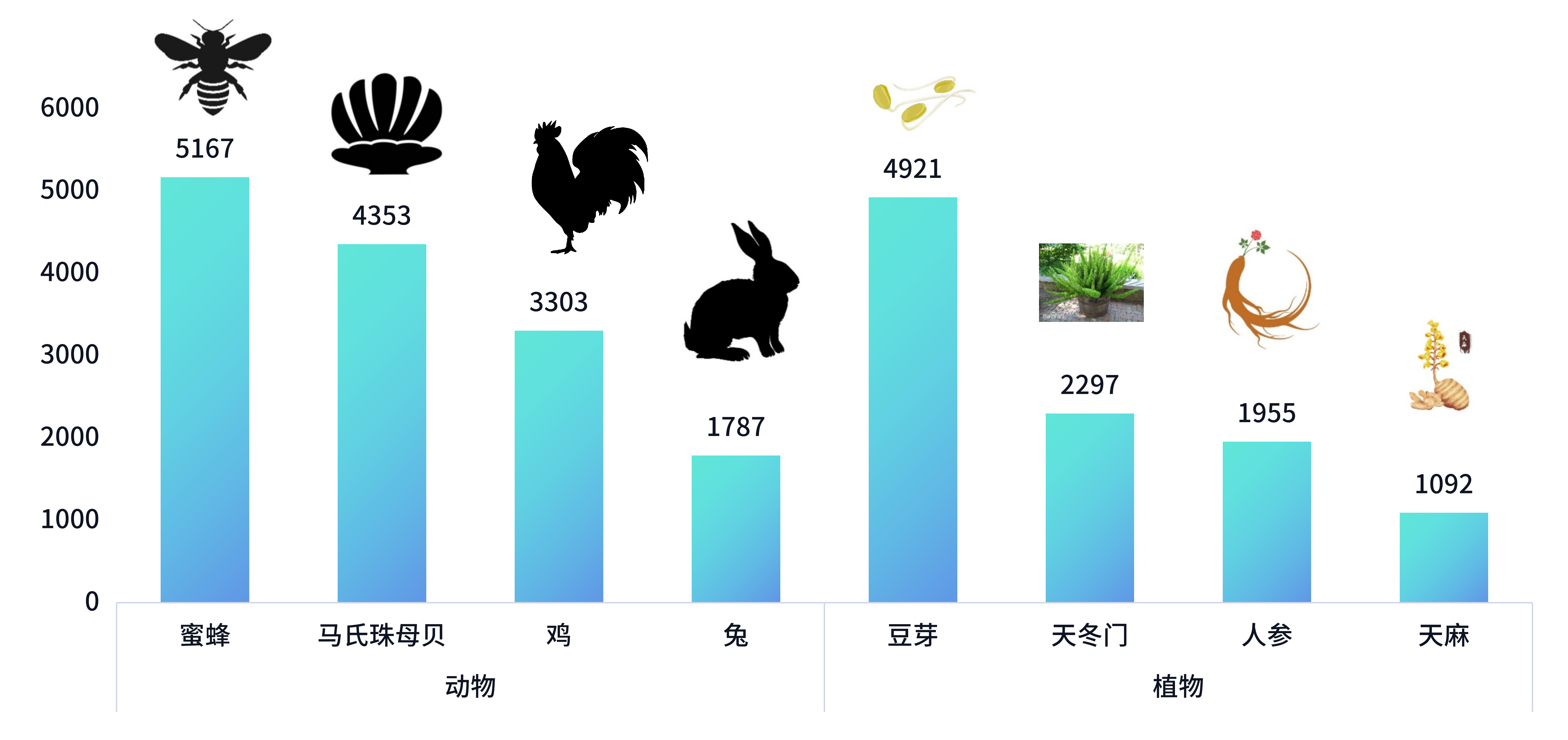 ز-20240925_03(1).png