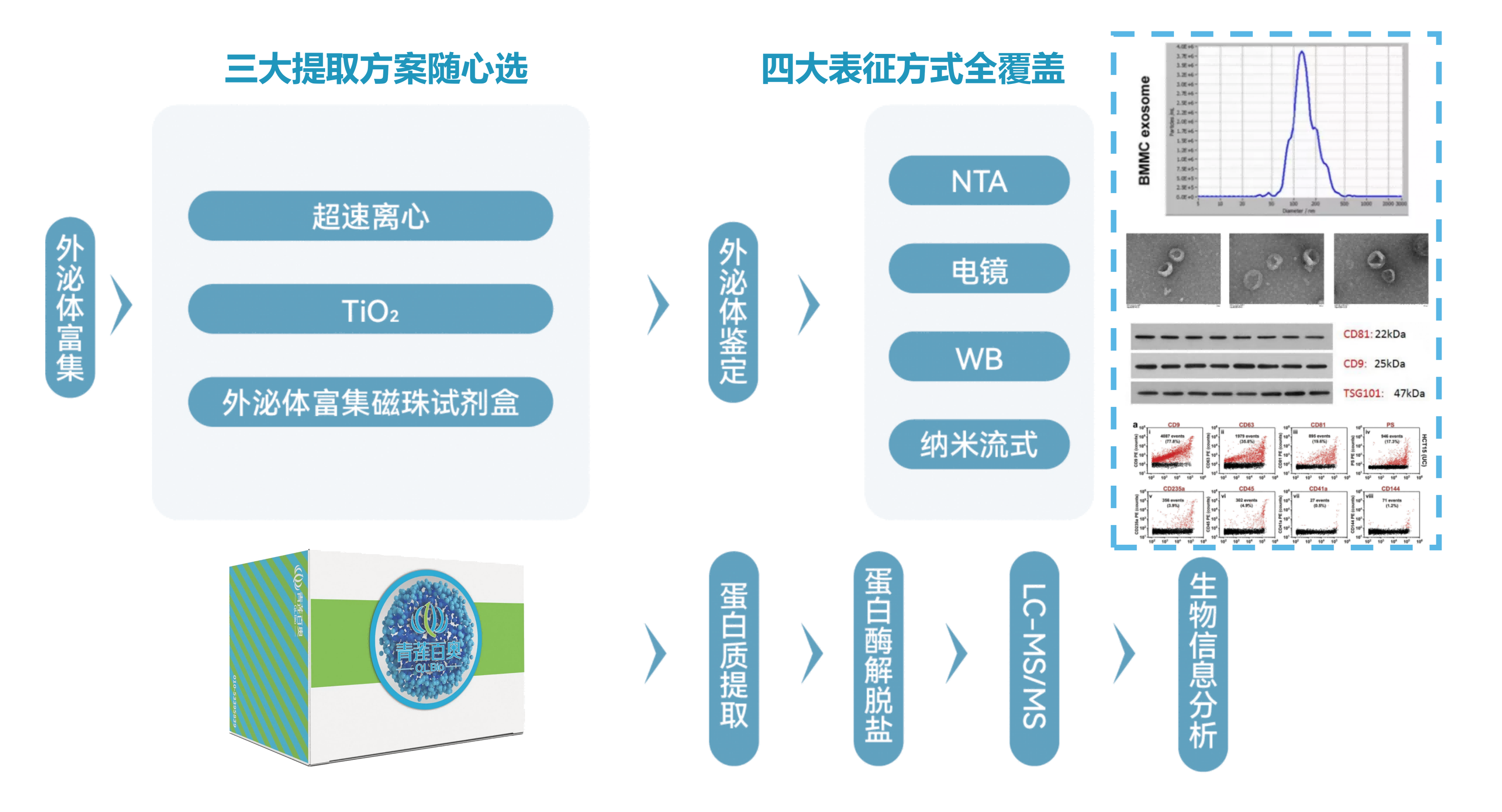ز-20240925_01(1).png